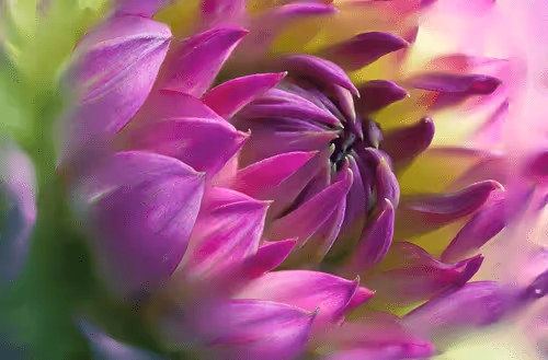 Item #1864235862486587087410937482126233260088053295403624046406936183483836399617 Media