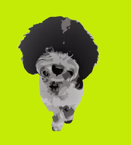 Untitled Collection #256603655