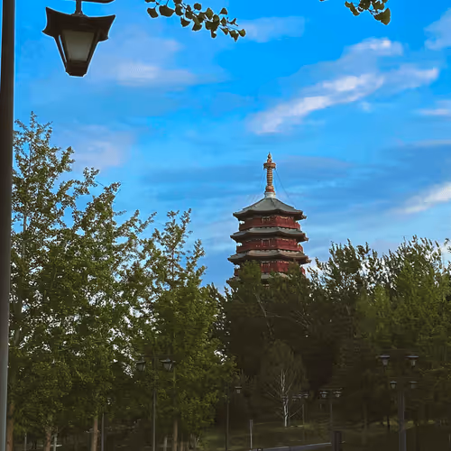 Untitled Collection #46513032