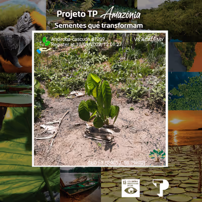 Item #8500196597889277390194123329501889087166328879864934763448348940264546500609 Media