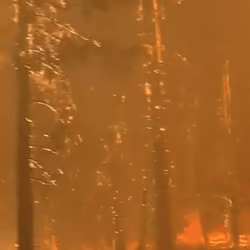 Firefighter Life on the Front Lines