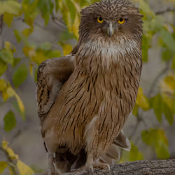 61684684013370051227163866082320023750896296023852719411798081128121451413554