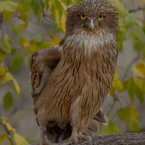 61684684013370051227163866082320023750896296023852719411798081128121451413554