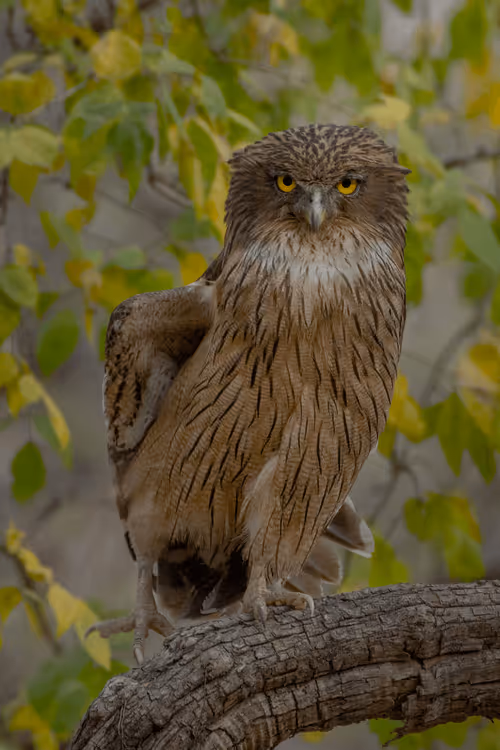 Item #61684684013370051227163866082320023750896296023852719411798081128121451413554 Media