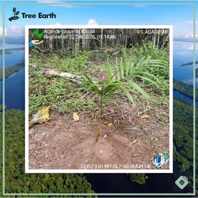 Item #8500196597889277390194123329501889087166328879864934763448349317397034827777 Media