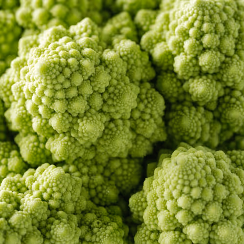 Item #39629935389522237345664437028542438492977381533873015043488418113501513383943 Media