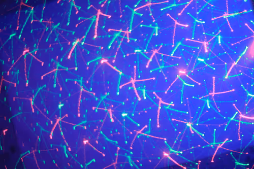 25388429571187189400142896144030193801342767201083735738326485265103271755777