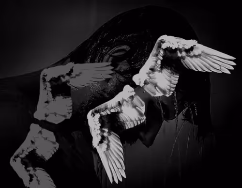 Item #85043563857425734787029872858228068518532895461354812368453176596591384985601 Media