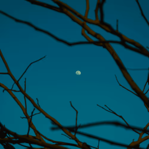 Item #51720214752826038599270338085891046256638652771262397643462889354389216034817 Media