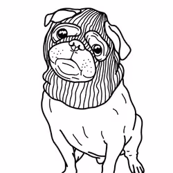 Bad Gangsta Pug