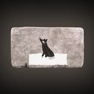 Item #25272857426570335054852562823676508602867186036386023390089810751859852312577 Media