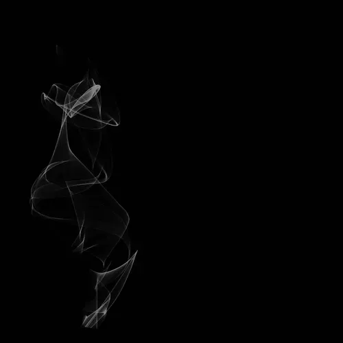 Item #65566000358404370780323819220112034083013972535169585834825609381627109048321 Media