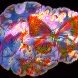 29877578668728852178902598419785793077778618348046200683544678323945641869322