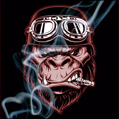 Item #57024530150477426192147753226927288772493442404434274981110803211073940881409 Media