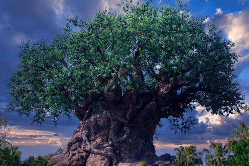 Item #88004996534824683595530724546599971679500479885653343253103225460523861540865 Media