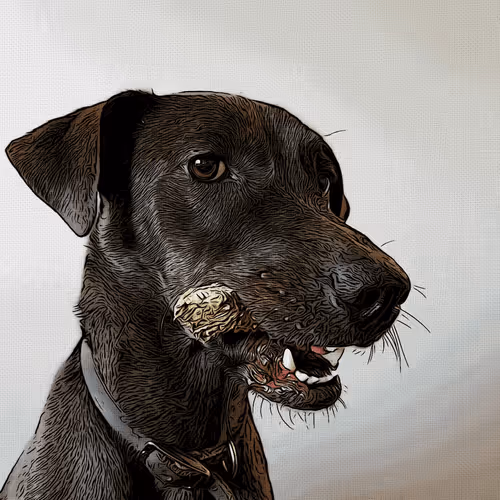 Item #51248183749348236146371365488248401109026090195749860833283607883687225458689 Media