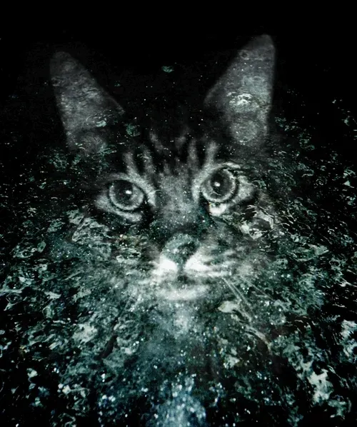 Item #46677297122039031221449977847173365421667821442589389250428357138405434327041 Media