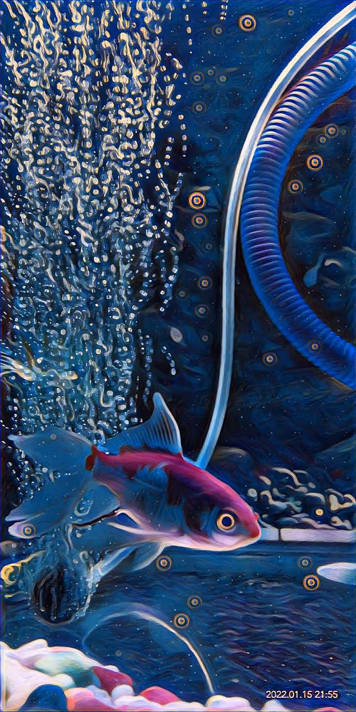 Item #85157456757101135776849577121691156072851928586232116450026823712785196646401 Media