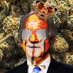 21688527815507990779780435242269546376679550267989735943769101101936014262273