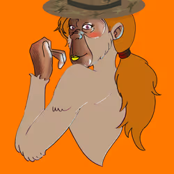 38112461854485255131593490535525193888118649710465997988787175458486238576641