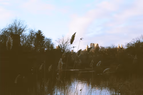 Item #56912664102505684401241846213257587603007609539773065122493917077967214739457 Media