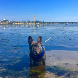 99031261785432219130552668818269695456905868997165113515571762427003370733569