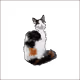 7917608709568526609042417006664391966594597627541652161018316728429663223809