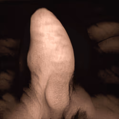 Item #82600979221046623916123607989992051554878063819231594198398202636221628284929 Media