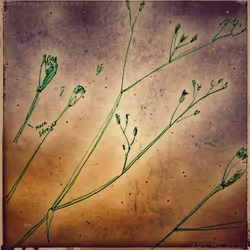 3787080761074609709675817509753112159059746763483256848434353938227431211009