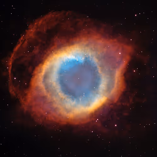 Untitled Collection #269225492