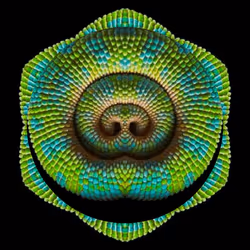 47993365230904546224908061961898398429308184507692648287352000294831672786945