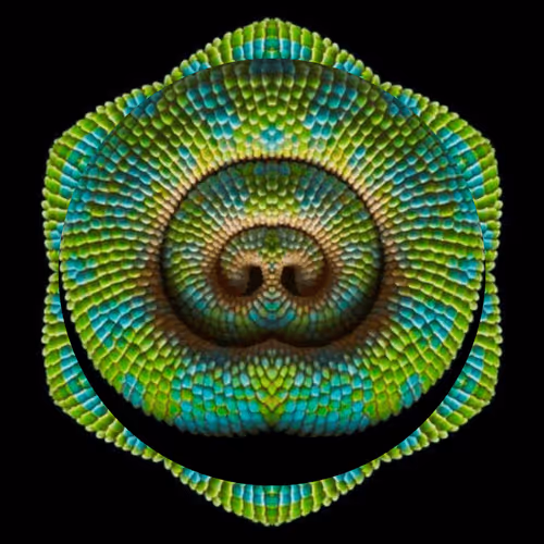 Item #47993365230904546224908061961898398429308184507692648287352000294831672786945 Media