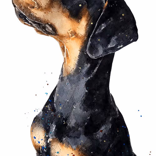 Item #15308155937593783866228062712704217529335676444312394672786838576542437605381 Media