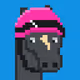 HorsePunksNFT#041