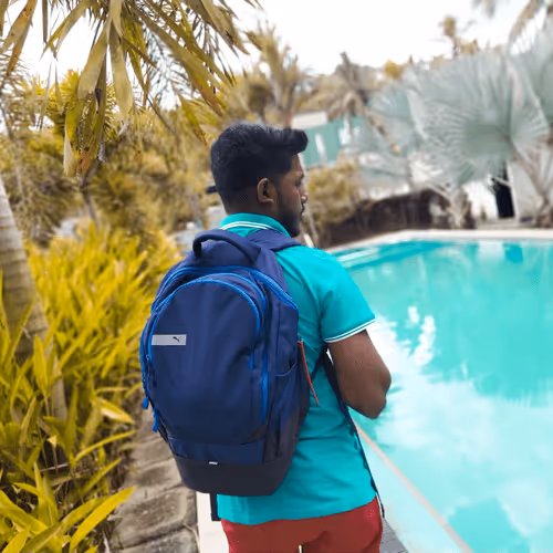 Item #66194376670199277119370017754426809254156015012110704978842371802294357327873 Media