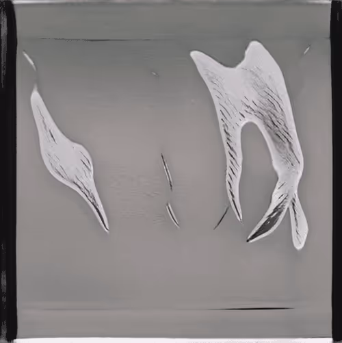 Item #30166107344743708059270094802271962169882312451502808097409442803081036169217 Media