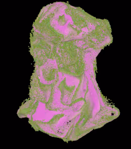 Item #13174058958137361420103707691095441614790748258935886136274199376700536520705 Media