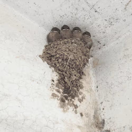 Untitled Collection #176984188