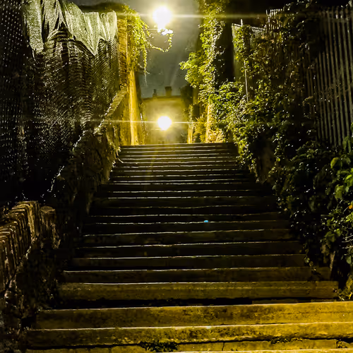 Untitled Collection #142424620