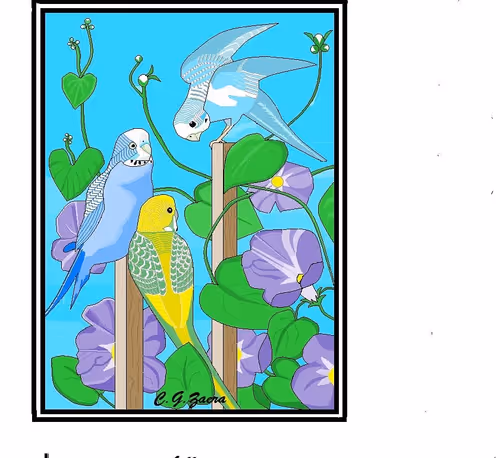 Item #2719652509030203085310659099978947857056197317648672826236285624792358322177 Media