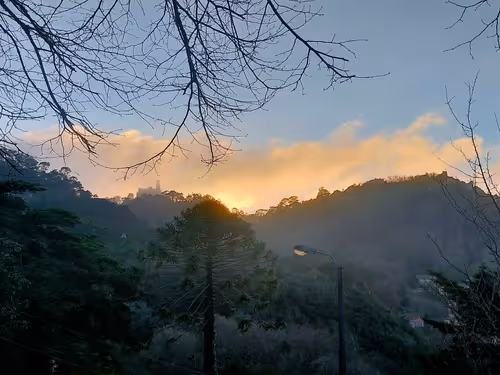 Item #43879787019181324380889121927246652484173095409087023942912875770975512166401 Media