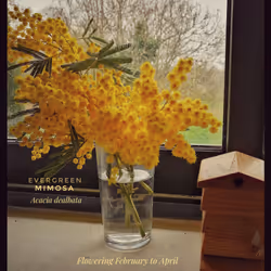 3787080761074609709675817509753112159059746763483256848434353640259780083713