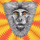 Planet Monkey #51