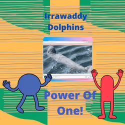 Irrawaddy Dolphins Forever - Protecting Endangered Animals