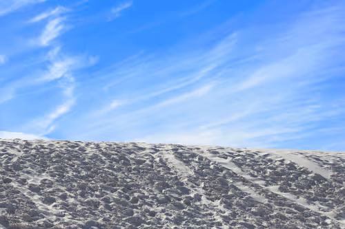 Item #29220917206107681272078931744148542283318655636732824827816198318026102145027 Media