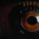 37892111038930047762214926443422557443137151227287840906027312938714566492260
