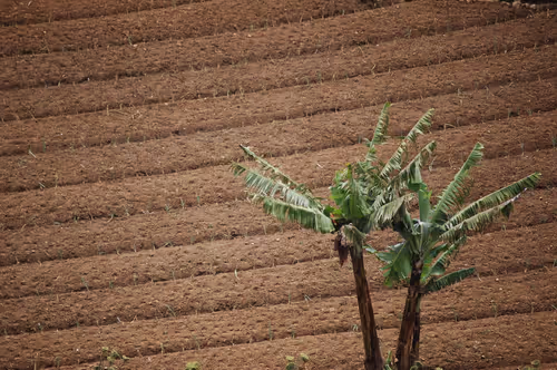 10921472281899964169532918849758086679170676756240661664806421747570678169601