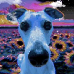 CyberDOGGO #4