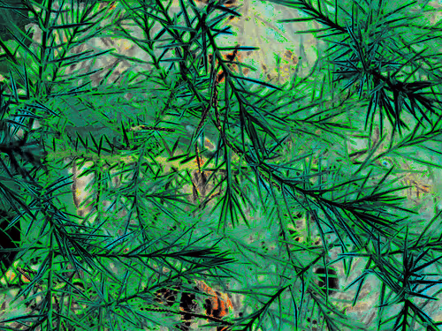 Item #88550933380159429652573600088596543452217115268663300900517750215534461321221 Media