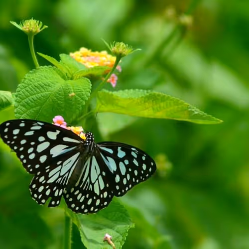 14571506913454205627656743203225782770632742565437799673199566815895756996609